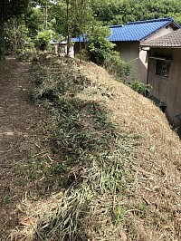 草刈